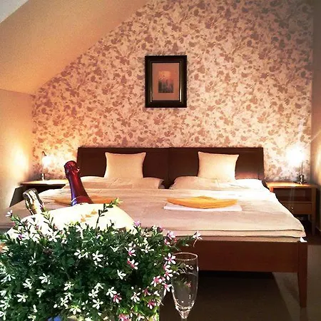 Guest house U Labe Hradec Kralove